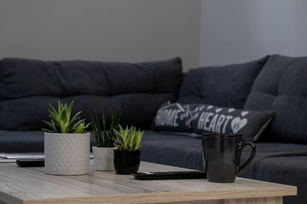 Apartmán * Ck Modern Loft Near Seaside * Soluň Exteriér fotografie